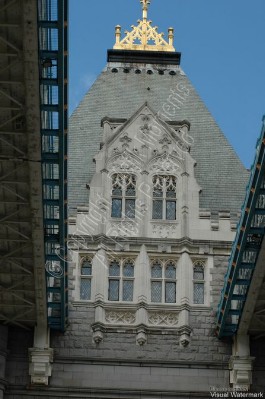 DSC_1632.JPG