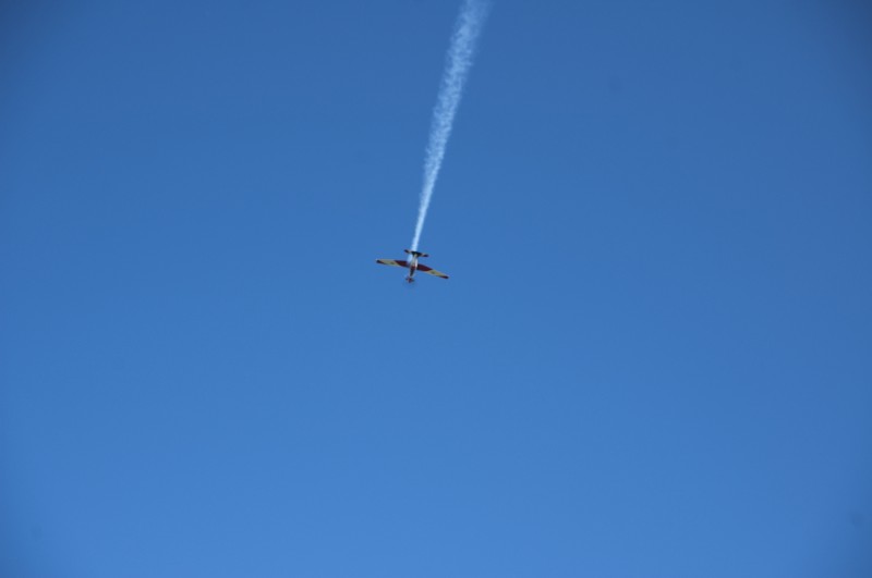 DSC_9590.jpg