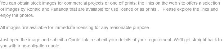 You can obtain stock images for commercial projects or one off prints; the links on the web site offers a selection of images by Ronald and Pananda that are available for use licence or as prints . Please explore the links and enjoy the photos. All images are available for immediate licensing for any reasonable purpose. Just open the image and submit a Quote link to submit your details of your requirement. We'll get straight back to you with a no-obligation quote. 